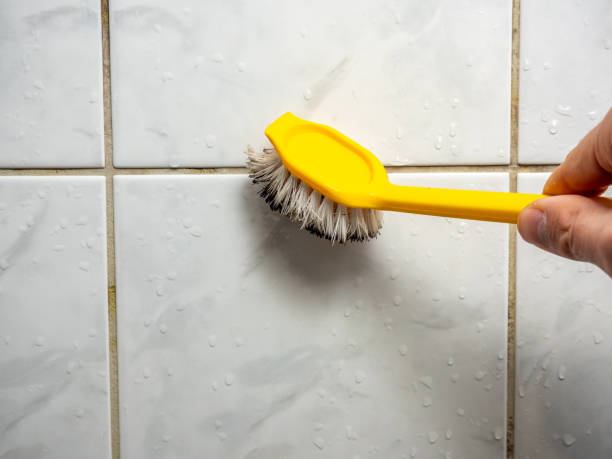 The Galena Territory, IL Mold Removal Company