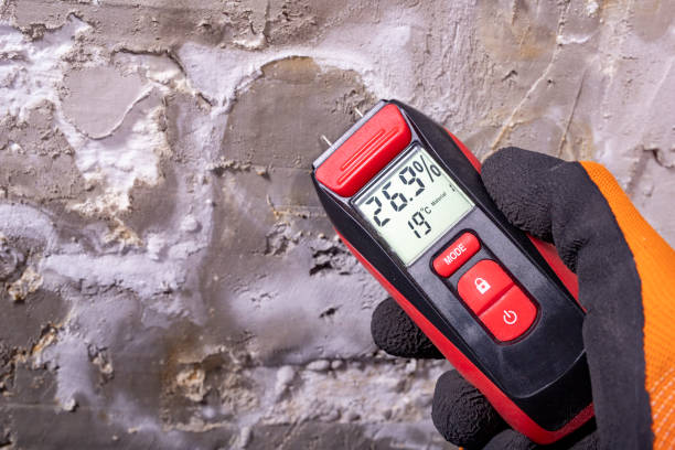 Best Commercial Mold Removal  in The Galena Territory, IL